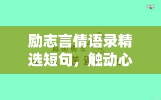 励志言情语录精选短句，触动心灵唤起无限正能量