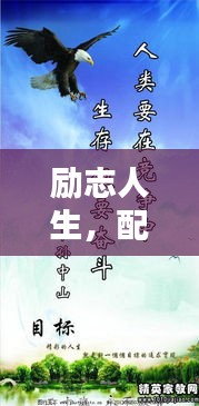 励志人生，配音界的励志名言短语