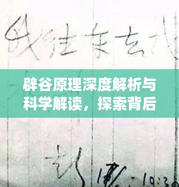 辟谷原理深度解析与科学解读，探索背后的奥秘