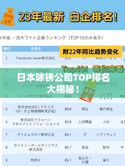 日本除锈公司TOP排名大揭秘！