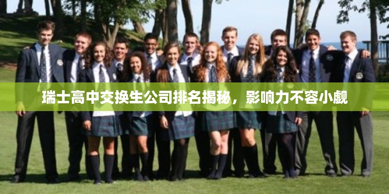 瑞士高中交换生公司排名揭秘，影响力不容小觑