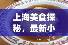 上海美食探秘，最新小吃攻略大全