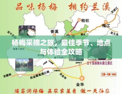 杨梅采摘之旅，最佳季节、地点与体验全攻略
