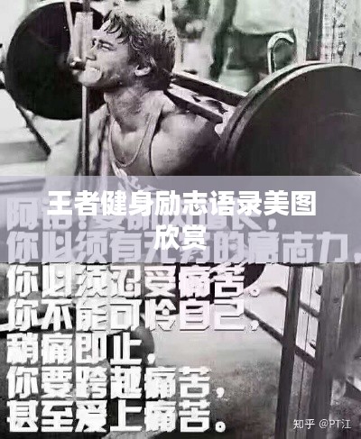 王者健身励志语录美图欣赏