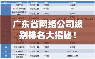 广东省网络公司级别排名大揭秘！