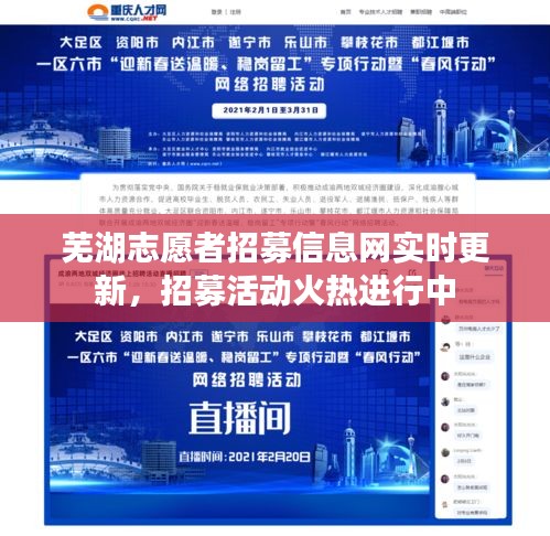 芜湖志愿者招募信息网实时更新，招募活动火热进行中