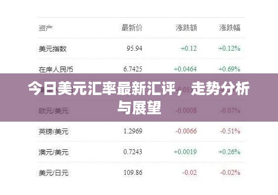 今日美元汇率最新汇评，走势分析与展望