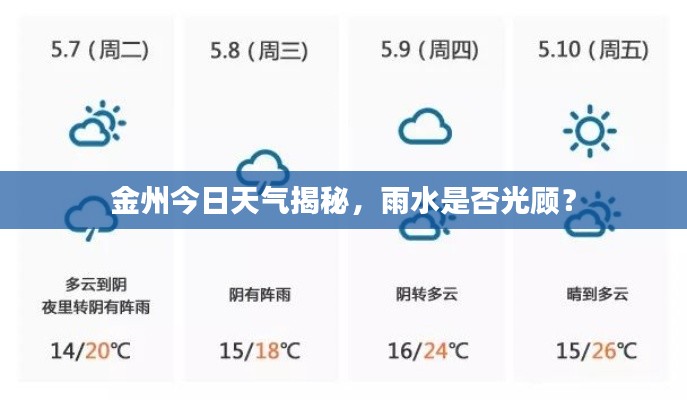 金州今日天气揭秘，雨水是否光顾？