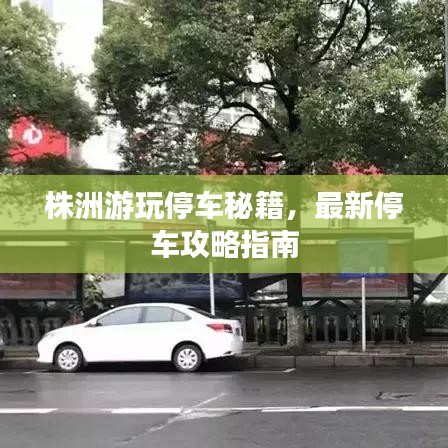 株洲游玩停车秘籍，最新停车攻略指南