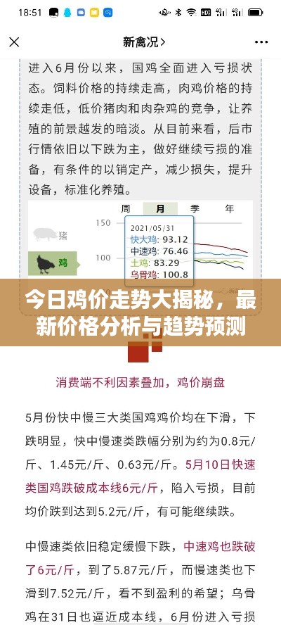 今日鸡价走势大揭秘，最新价格分析与趋势预测