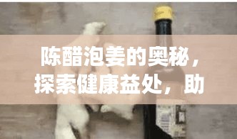 陈醋泡姜的奥秘，探索健康益处，助你养生健体！
