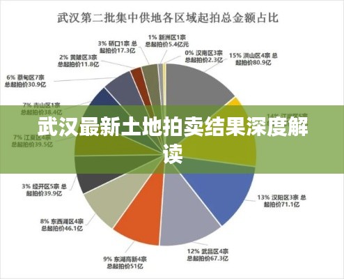 武汉最新土地拍卖结果深度解读