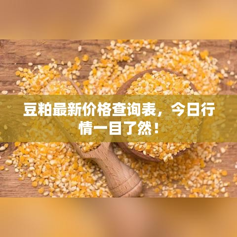 豆粕最新价格查询表，今日行情一目了然！