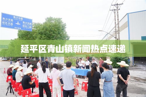 延平区青山镇新闻热点速递