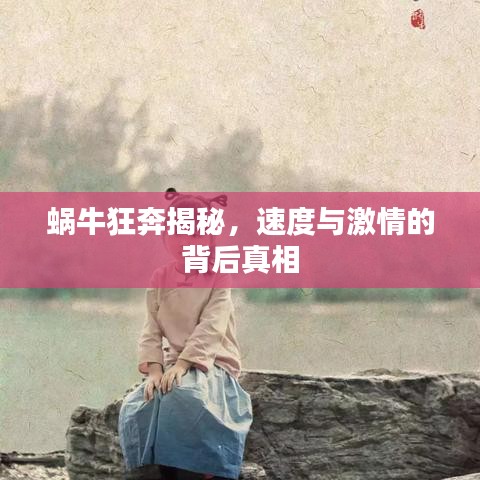 蜗牛狂奔揭秘，速度与激情的背后真相