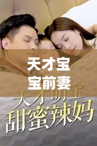 天才宝宝前妻，情感历程深度剖析