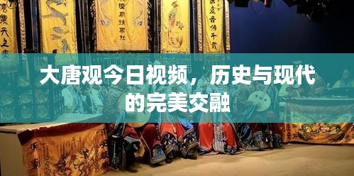 大唐观今日视频，历史与现代的完美交融