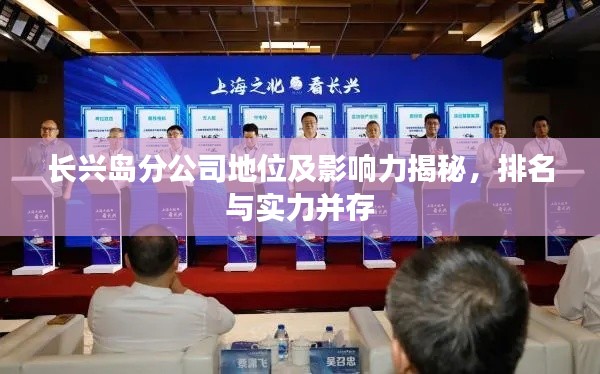长兴岛分公司地位及影响力揭秘，排名与实力并存