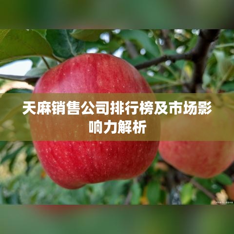 天麻销售公司排行榜及市场影响力解析