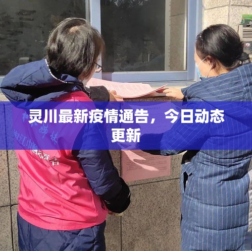 灵川最新疫情通告，今日动态更新