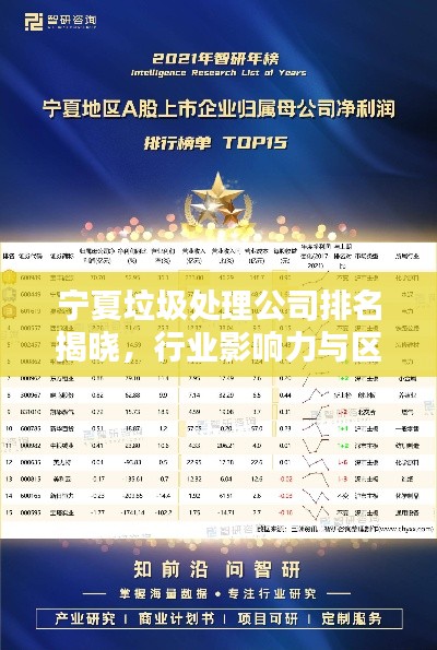 宁夏垃圾处理公司排名揭晓，行业影响力与区域贡献一览