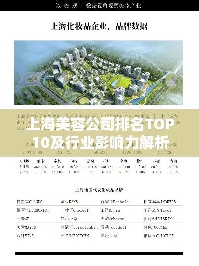 上海美容公司排名TOP10及行业影响力解析