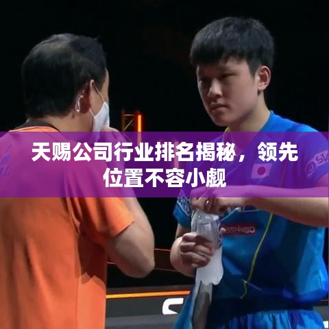 天赐公司行业排名揭秘，领先位置不容小觑
