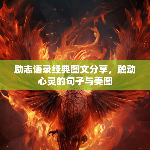 励志语录经典图文分享，触动心灵的句子与美图