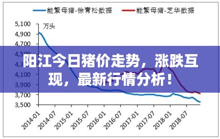阳江今日猪价走势，涨跌互现，最新行情分析！