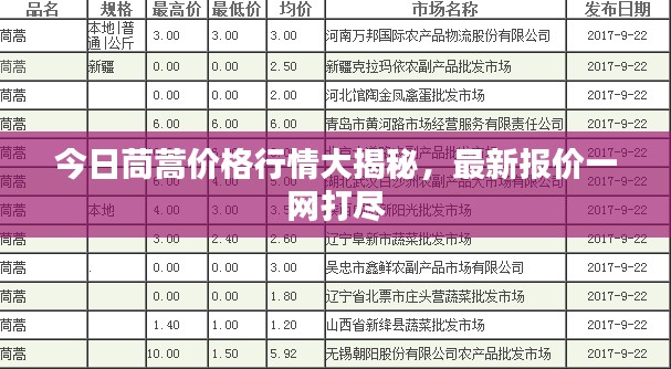 今日茼蒿价格行情大揭秘，最新报价一网打尽