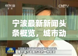宁波最新新闻头条概览，城市动态一网打尽