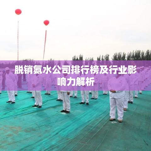 脱销氨水公司排行榜及行业影响力解析