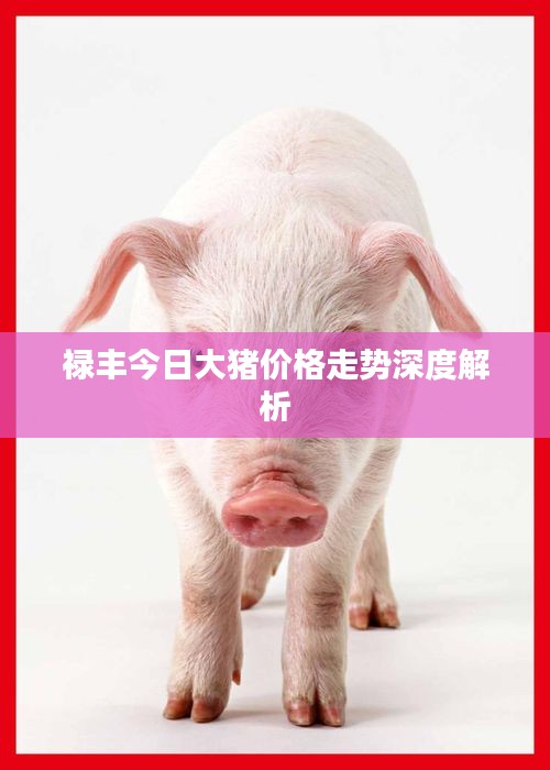 禄丰今日大猪价格走势深度解析
