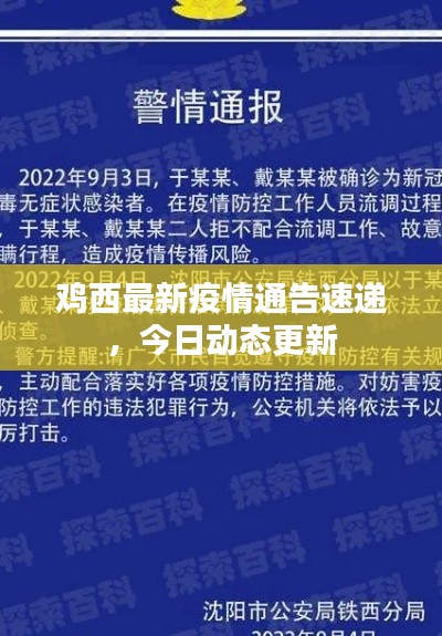 鸡西最新疫情通告速递，今日动态更新