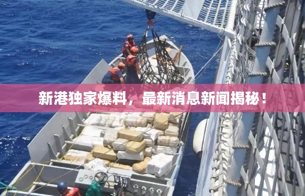 新港独家爆料，最新消息新闻揭秘！