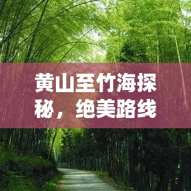 黄山至竹海探秘，绝美路线攻略