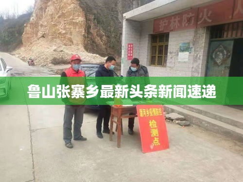 鲁山张寨乡最新头条新闻速递