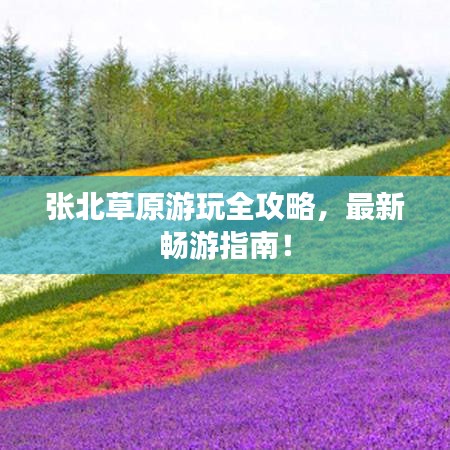 张北草原游玩全攻略，最新畅游指南！