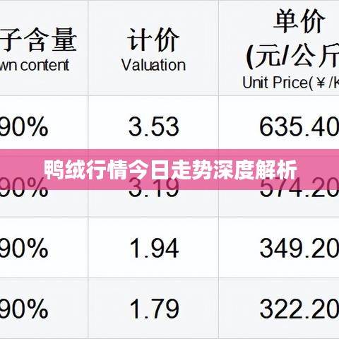 鸭绒行情今日走势深度解析