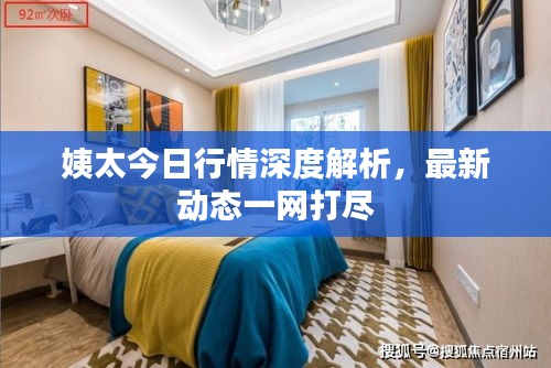 姨太今日行情深度解析，最新动态一网打尽