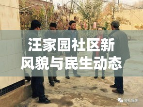 汪家园社区新风貌与民生动态新闻头条速递