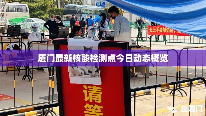 厦门最新核酸检测点今日动态概览