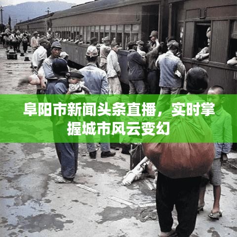 阜阳市新闻头条直播，实时掌握城市风云变幻