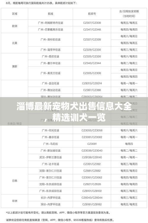 淄博最新宠物犬出售信息大全，精选训犬一览