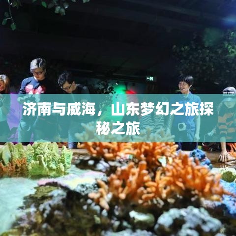 济南与威海，山东梦幻之旅探秘之旅