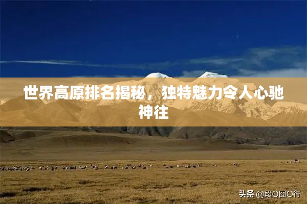 世界高原排名揭秘，独特魅力令人心驰神往
