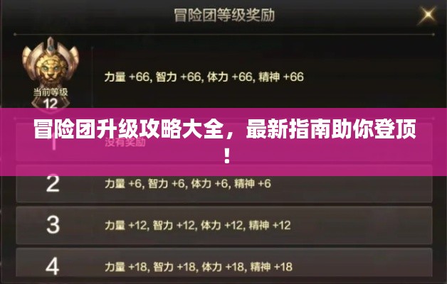 冒险团升级攻略大全，最新指南助你登顶！
