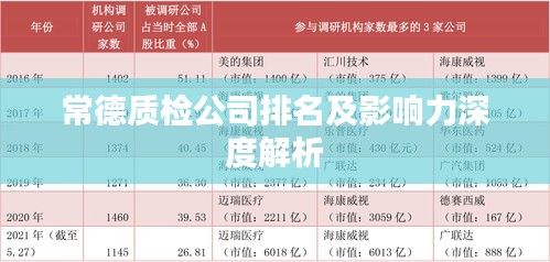常德质检公司排名及影响力深度解析