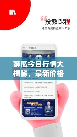 酥瓜今日行情大揭秘，最新价格及市场动态一网打尽！