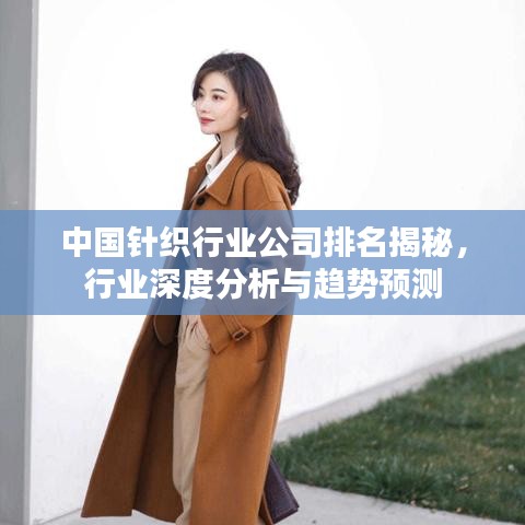 中国针织行业公司排名揭秘，行业深度分析与趋势预测